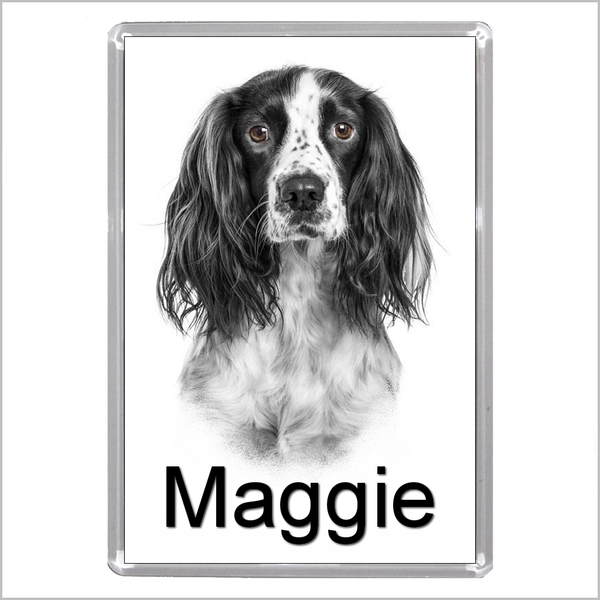 Personalised SPRINGER SPANIEL DOG Jumbo Acrylic Fridge Magnet - TWO DESIGNS AVAILABLE
