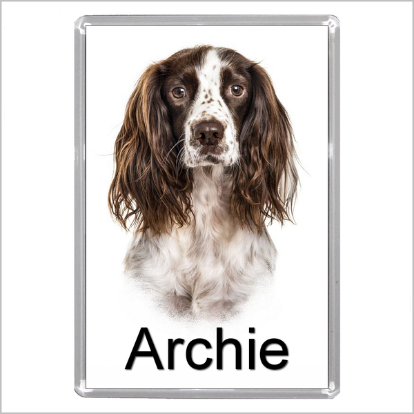 Personalised SPRINGER SPANIEL DOG Jumbo Acrylic Fridge Magnet - TWO DESIGNS AVAILABLE