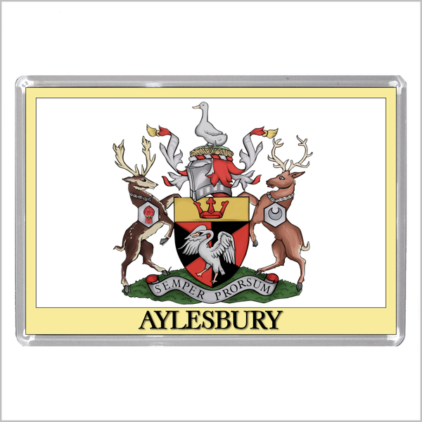 UK ENGLAND - ENGLISH TOWN COATS OF ARMS Jumbo Acrylic Fridge Magnets - Town Names A to L (52 DESIGNS)