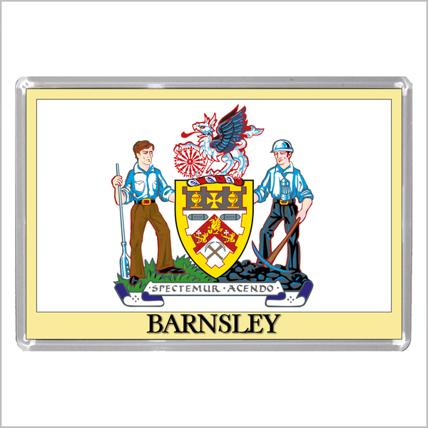 UK ENGLAND - ENGLISH TOWN COATS OF ARMS Jumbo Acrylic Fridge Magnets - Town Names A to L (52 DESIGNS)