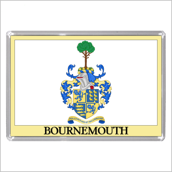 UK ENGLAND - ENGLISH TOWN COATS OF ARMS Jumbo Acrylic Fridge Magnets - Town Names A to L (52 DESIGNS)