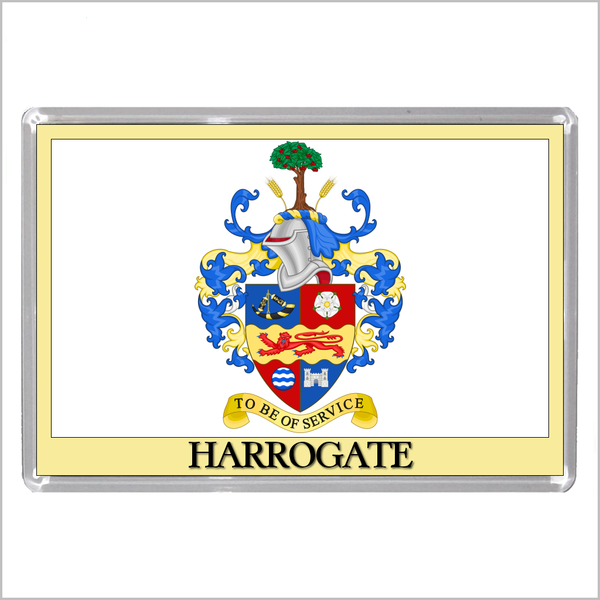 UK ENGLAND - ENGLISH TOWN COATS OF ARMS Jumbo Acrylic Fridge Magnets - Town Names A to L (52 DESIGNS)