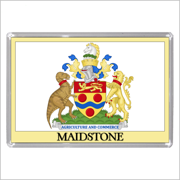 UK ENGLAND - ENGLISH TOWN COATS OF ARMS Jumbo Acrylic Fridge Magnets - Town Names M to Z (53 DESIGNS)