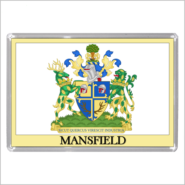UK ENGLAND - ENGLISH TOWN COATS OF ARMS Jumbo Acrylic Fridge Magnets - Town Names M to Z (53 DESIGNS)