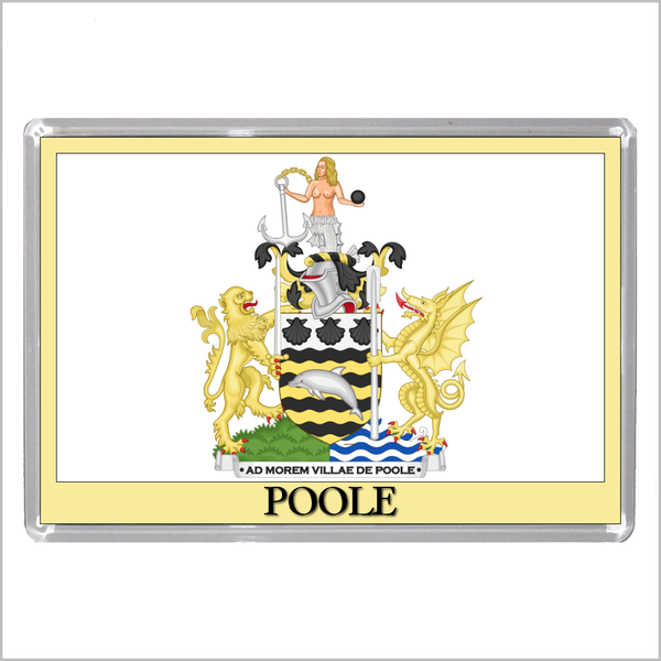 UK ENGLAND - ENGLISH TOWN COATS OF ARMS Jumbo Acrylic Fridge Magnets - Town Names M to Z (53 DESIGNS)