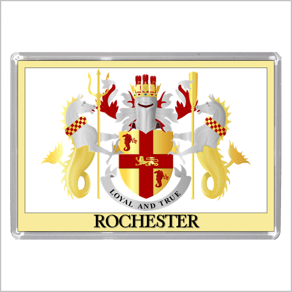 UK ENGLAND - ENGLISH TOWN COATS OF ARMS Jumbo Acrylic Fridge Magnets - Town Names M to Z (53 DESIGNS)