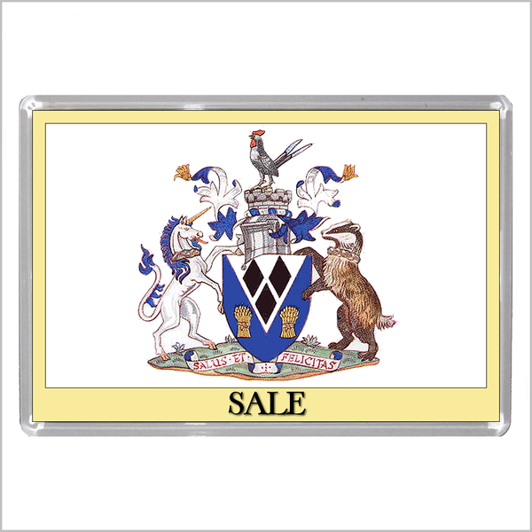 UK ENGLAND - ENGLISH TOWN COATS OF ARMS Jumbo Acrylic Fridge Magnets - Town Names M to Z (53 DESIGNS)