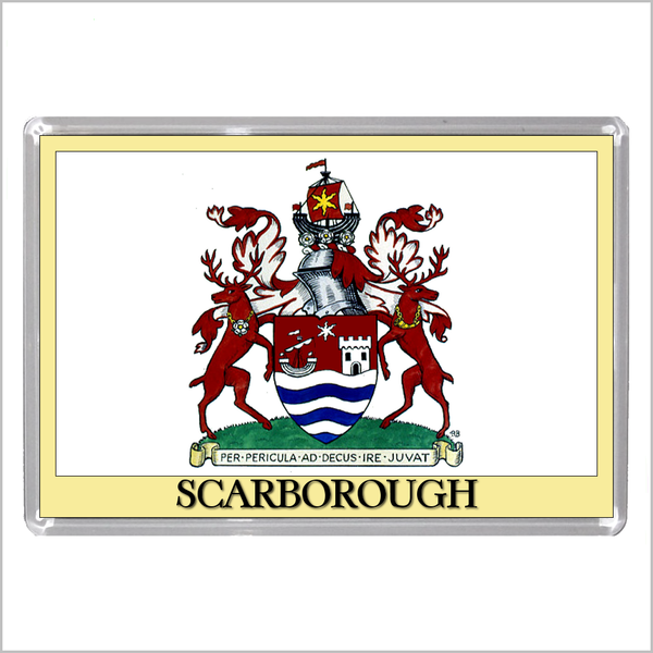 UK ENGLAND - ENGLISH TOWN COATS OF ARMS Jumbo Acrylic Fridge Magnets - Town Names M to Z (53 DESIGNS)