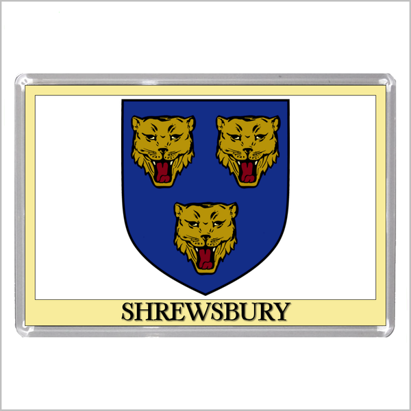 UK ENGLAND - ENGLISH TOWN COATS OF ARMS Jumbo Acrylic Fridge Magnets - Town Names M to Z (53 DESIGNS)