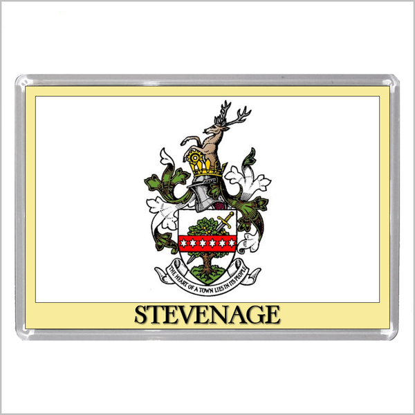 UK ENGLAND - ENGLISH TOWN COATS OF ARMS Jumbo Acrylic Fridge Magnets - Town Names M to Z (53 DESIGNS)