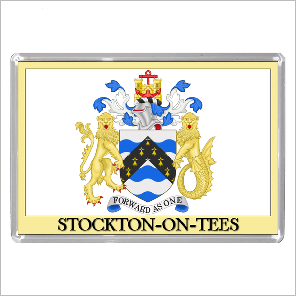 UK ENGLAND - ENGLISH TOWN COATS OF ARMS Jumbo Acrylic Fridge Magnets - Town Names M to Z (53 DESIGNS)