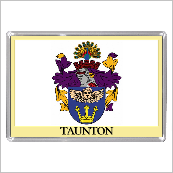 UK ENGLAND - ENGLISH TOWN COATS OF ARMS Jumbo Acrylic Fridge Magnets - Town Names M to Z (53 DESIGNS)