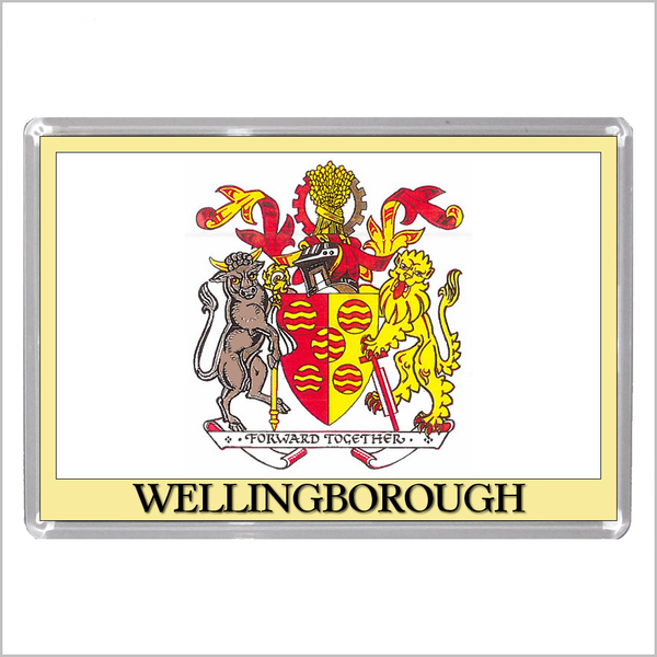 UK ENGLAND - ENGLISH TOWN COATS OF ARMS Jumbo Acrylic Fridge Magnets - Town Names M to Z (53 DESIGNS)