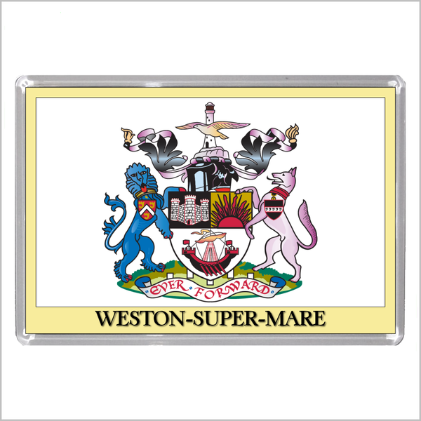 UK ENGLAND - ENGLISH TOWN COATS OF ARMS Jumbo Acrylic Fridge Magnets - Town Names M to Z (53 DESIGNS)