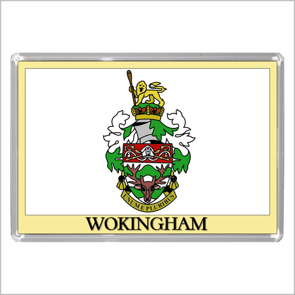 UK ENGLAND - ENGLISH TOWN COATS OF ARMS Jumbo Acrylic Fridge Magnets - Town Names M to Z (53 DESIGNS)