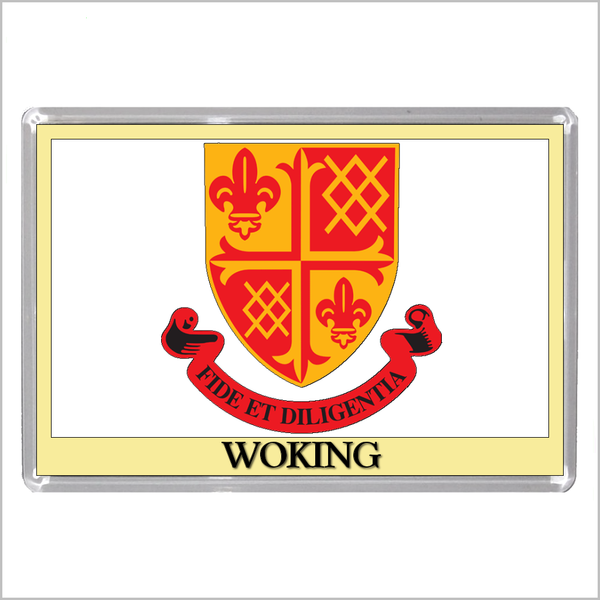 UK ENGLAND - ENGLISH TOWN COATS OF ARMS Jumbo Acrylic Fridge Magnets - Town Names M to Z (53 DESIGNS)