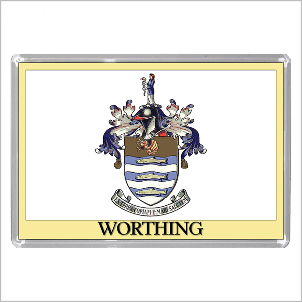 UK ENGLAND - ENGLISH TOWN COATS OF ARMS Jumbo Acrylic Fridge Magnets - Town Names M to Z (53 DESIGNS)