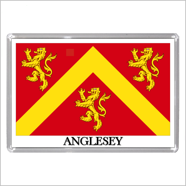 UK SCOTLAND AND WALES - SCOTTISH & WELSH HISTORIC COUNTY FLAGS Jumbo Fridge Magnets (24 DESIGNS)
