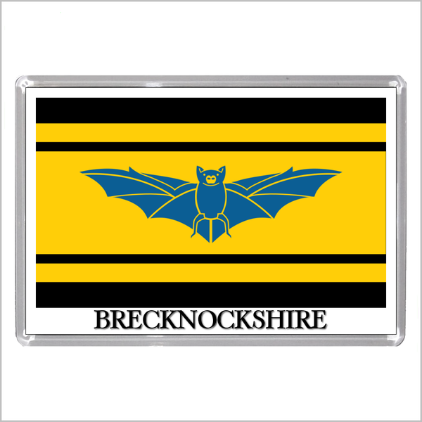 UK WALES HISTORIC COUNTY AND CITY FLAGS Jumbo Fridge Magnets (20 DESIGNS)