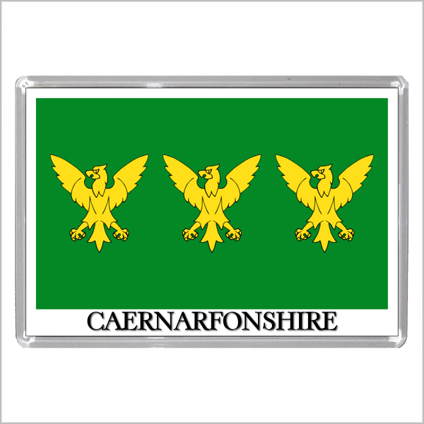 UK SCOTLAND AND WALES - SCOTTISH & WELSH HISTORIC COUNTY FLAGS Jumbo Fridge Magnets (24 DESIGNS)