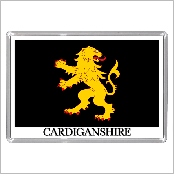 UK SCOTLAND AND WALES - SCOTTISH & WELSH HISTORIC COUNTY FLAGS Jumbo Fridge Magnets (24 DESIGNS)