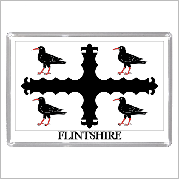 UK WALES HISTORIC COUNTY AND CITY FLAGS Jumbo Fridge Magnets (20 DESIGNS)