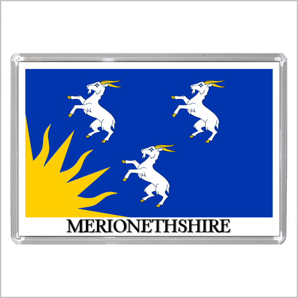 UK SCOTLAND AND WALES - SCOTTISH & WELSH HISTORIC COUNTY FLAGS Jumbo Fridge Magnets (24 DESIGNS)