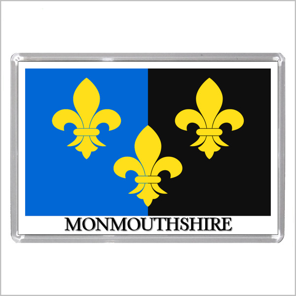 UK SCOTLAND AND WALES - SCOTTISH & WELSH HISTORIC COUNTY FLAGS Jumbo Fridge Magnets (24 DESIGNS)