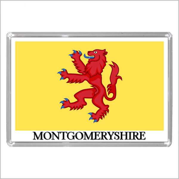 UK SCOTLAND AND WALES - SCOTTISH & WELSH HISTORIC COUNTY FLAGS Jumbo Fridge Magnets (24 DESIGNS)