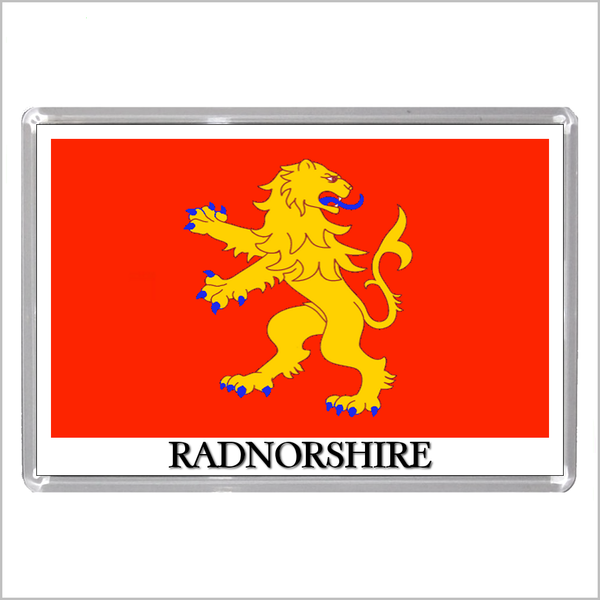 UK SCOTLAND AND WALES - SCOTTISH & WELSH HISTORIC COUNTY FLAGS Jumbo Fridge Magnets (24 DESIGNS)