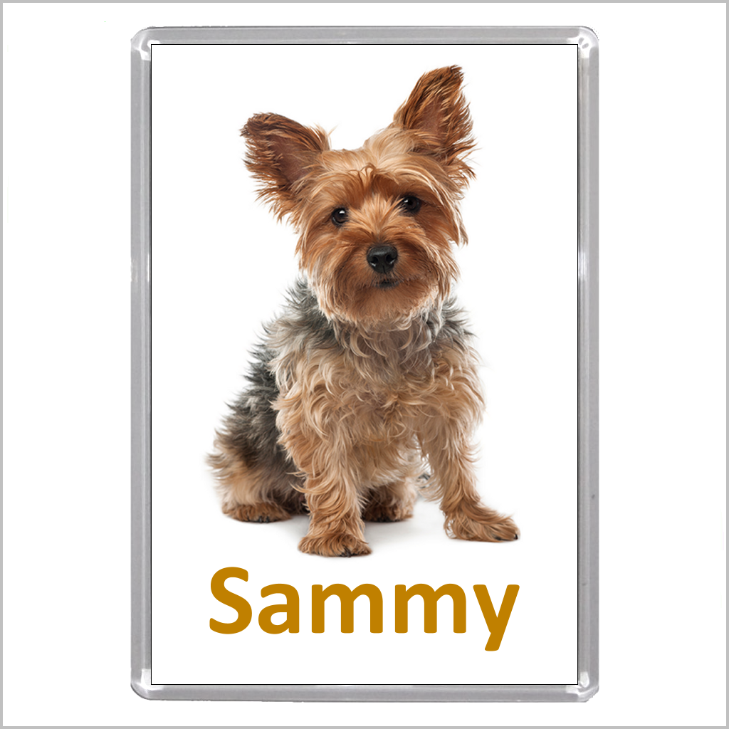 Personalised YORKSHIRE TERRIER Jumbo Acrylic Fridge Magnet