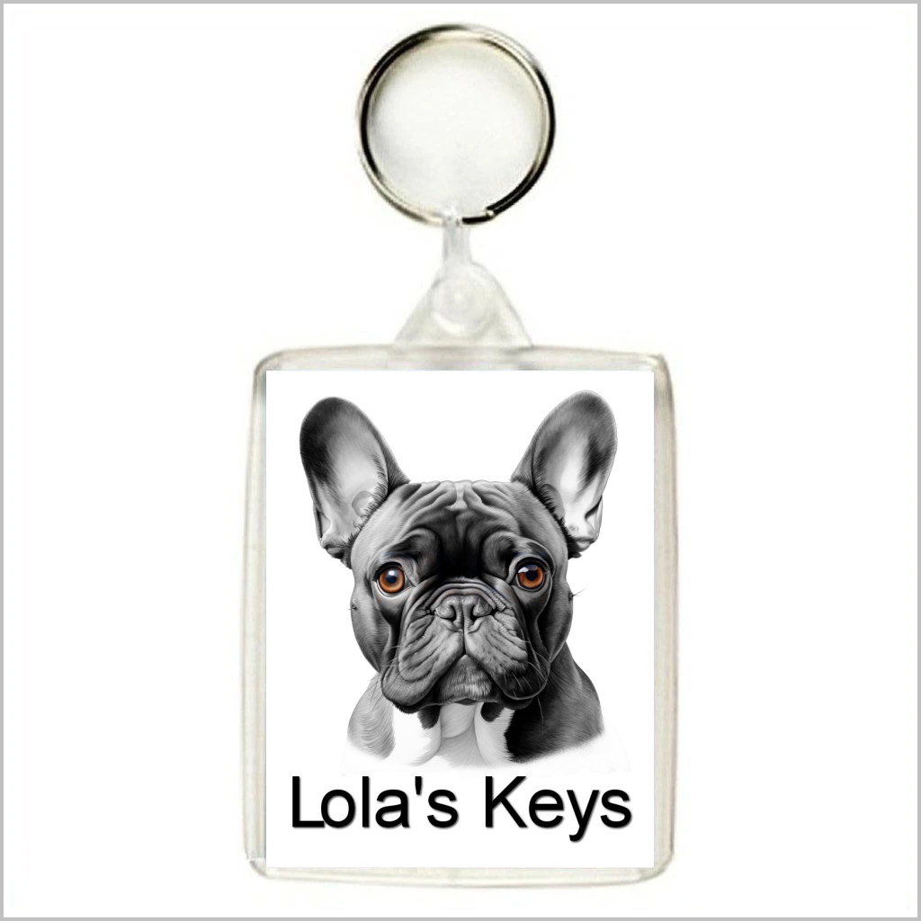 Personalised FRENCH BULLDOG Keyring / Bag Tags - THREE DESIGNS AVAILABLE