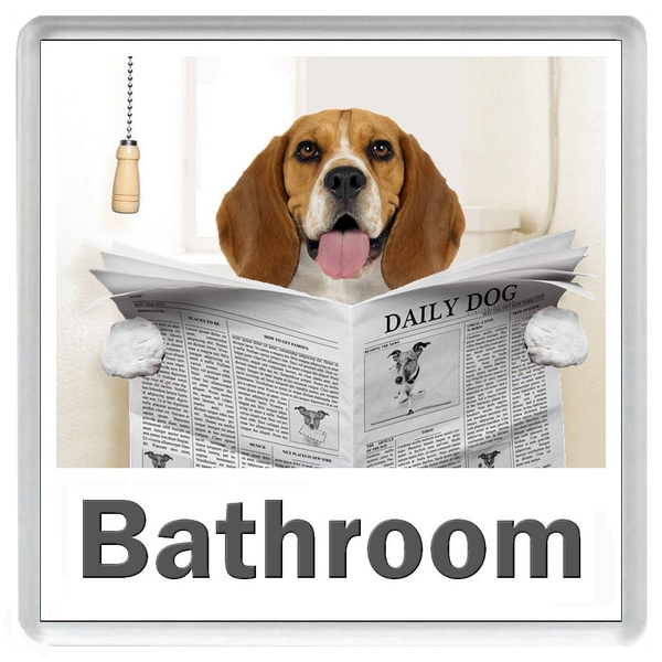 BEAGLE READING A NEWSPAPER ON THE LOO Novelty Acrylic Toilet Door Sign (5 WORDINGS)