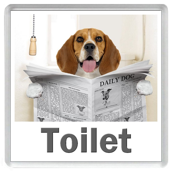 BEAGLE READING A NEWSPAPER ON THE LOO Novelty Acrylic Toilet Door Sign (5 WORDINGS)