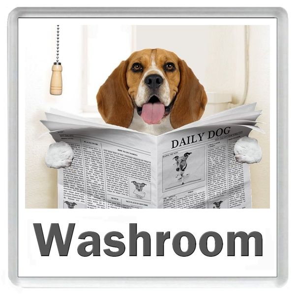 BEAGLE READING A NEWSPAPER ON THE LOO Novelty Acrylic Toilet Door Sign (5 WORDINGS)