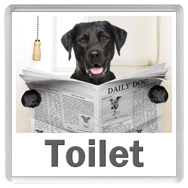 BLACK LABRADOR READING A NEWSPAPER ON THE LOO Novelty Acrylic Toilet Door Sign (5 WORDINGS)
