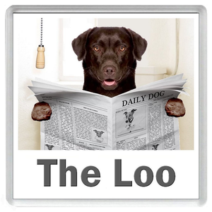 CHOCOLATE LABRADOR READING A NEWSPAPER ON THE LOO Novelty Acrylic Toilet Door Sign (5 WORDINGS)