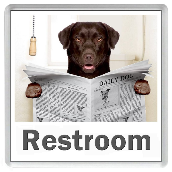 CHOCOLATE LABRADOR READING A NEWSPAPER ON THE LOO Novelty Acrylic Toilet Door Sign (5 WORDINGS)