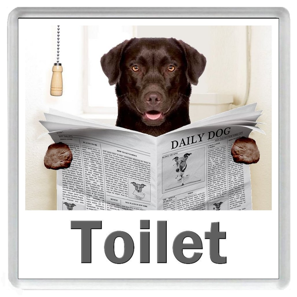 CHOCOLATE LABRADOR READING A NEWSPAPER ON THE LOO Novelty Acrylic Toilet Door Sign (5 WORDINGS)