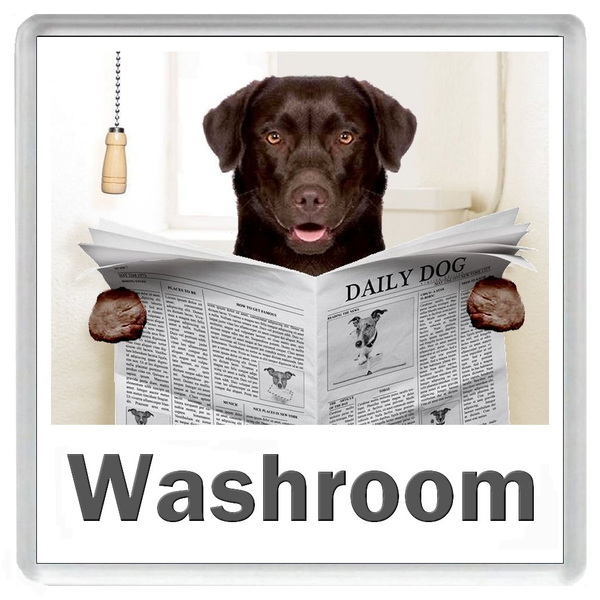 CHOCOLATE LABRADOR READING A NEWSPAPER ON THE LOO Novelty Acrylic Toilet Door Sign (5 WORDINGS)