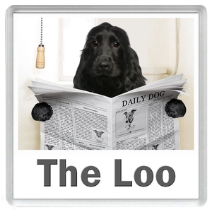 COCKER SPANIEL READING A NEWSPAPER ON THE LOO Novelty Acrylic Toilet Door Sign (2 DESIGNS and 5 WORDINGS)