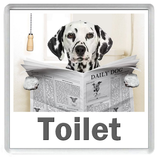 DALMATIAN READING A NEWSPAPER ON THE LOO Novelty Acrylic Toilet Door Sign (5 WORDINGS)