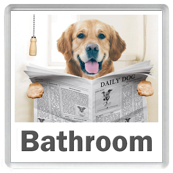 GOLDEN RETRIEVER READING A NEWSPAPER ON THE LOO Novelty Acrylic Toilet Door Sign (5 WORDINGS)