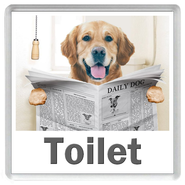 GOLDEN RETRIEVER READING A NEWSPAPER ON THE LOO Novelty Acrylic Toilet Door Sign (5 WORDINGS)