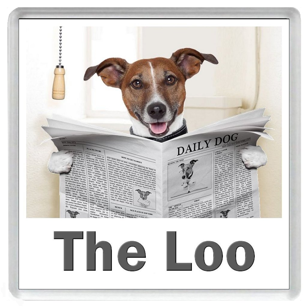 JACK RUSSELL TERRIER READING A NEWSPAPER ON THE LOO Novelty Acrylic Toilet Door Sign (5 WORDINGS)