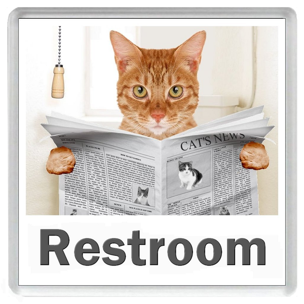 GINGER TABBY CAT READING A NEWSPAPER ON THE LOO Novelty Acrylic Toilet Door Sign (5 WORDINGS)