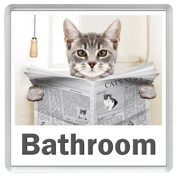 GREY TABBY CAT READING A NEWSPAPER ON THE LOO Novelty Acrylic Toilet Door Sign (5 WORDINGS)