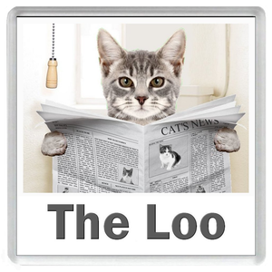 GREY TABBY CAT READING A NEWSPAPER ON THE LOO Novelty Acrylic Toilet Door Sign (5 WORDINGS)