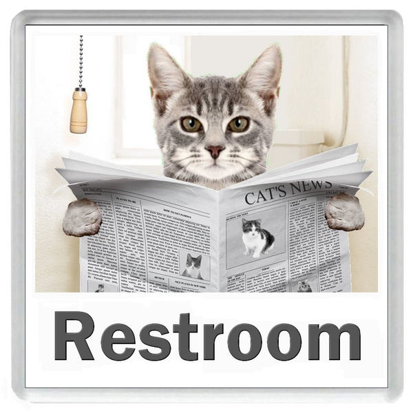 GREY TABBY CAT READING A NEWSPAPER ON THE LOO Novelty Acrylic Toilet Door Sign (5 WORDINGS)